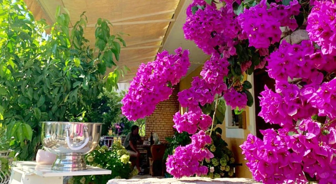 Eco-Friendly Estate I Aparthotel Primosten Ngoại thất bức ảnh